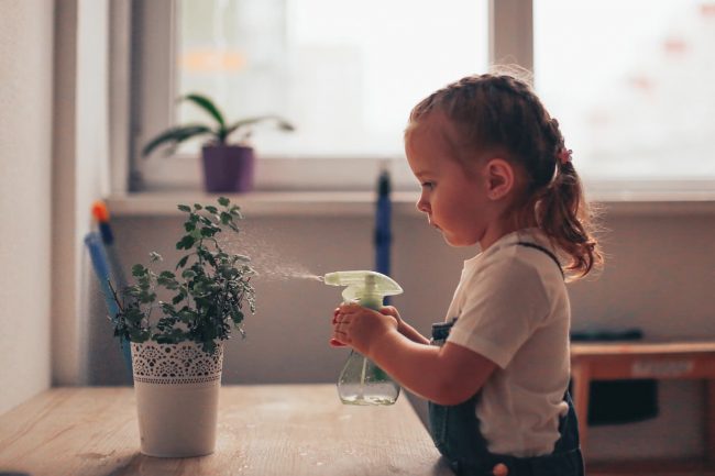 montessori maison